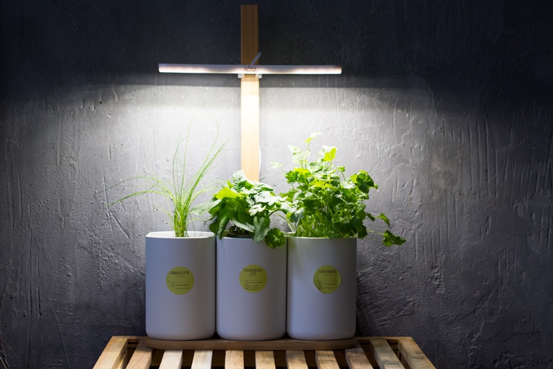 Potager Lilo - Votre jardin d'intérieur pour plantes et aromates - Prêt à  Pousser 🇫🇷